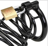 BDStyle Bad Black Male Chastity Accessory - Dominate, Submit, Desire Male Chastity